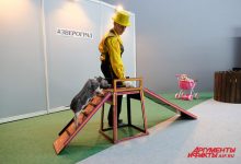 Photo of Приключения в Зверограде